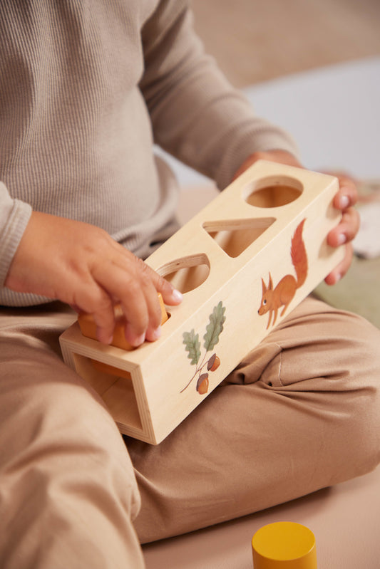 Wooden shape sorter 